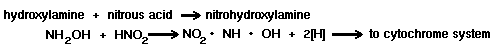 hydroxylamine + nitrous acid = nitrohydroxylamine