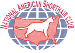 NATIONAL AMERICAN SHORTHAIR CLUB LINK