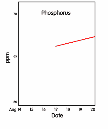 Phosphorus chart