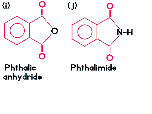 Phthalates4. gif