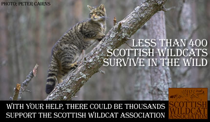 Scottish Wilslidw Association link