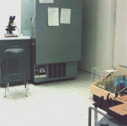 Picture of microscope, ultra-freezer and automatic shaker