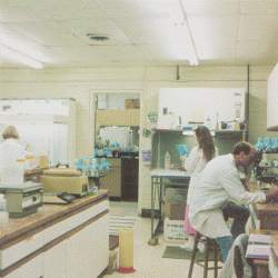 The quality control laboratory